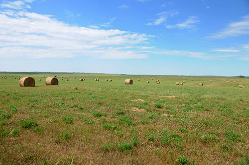 Meadow Road 　牧草地の道 Meadow Road 牧草地の道 MEADOW VALLEY MX – The Moto Academy