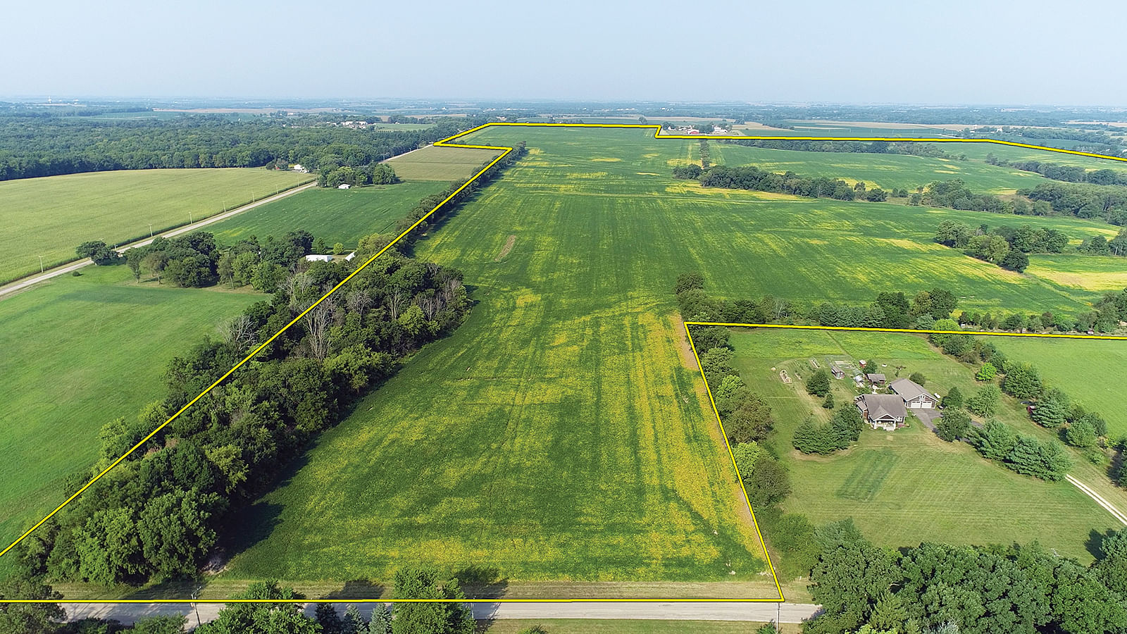 FARMLAND AUCTION VIRTUAL ILLINOIS LAND AUCTION 637 ACRES