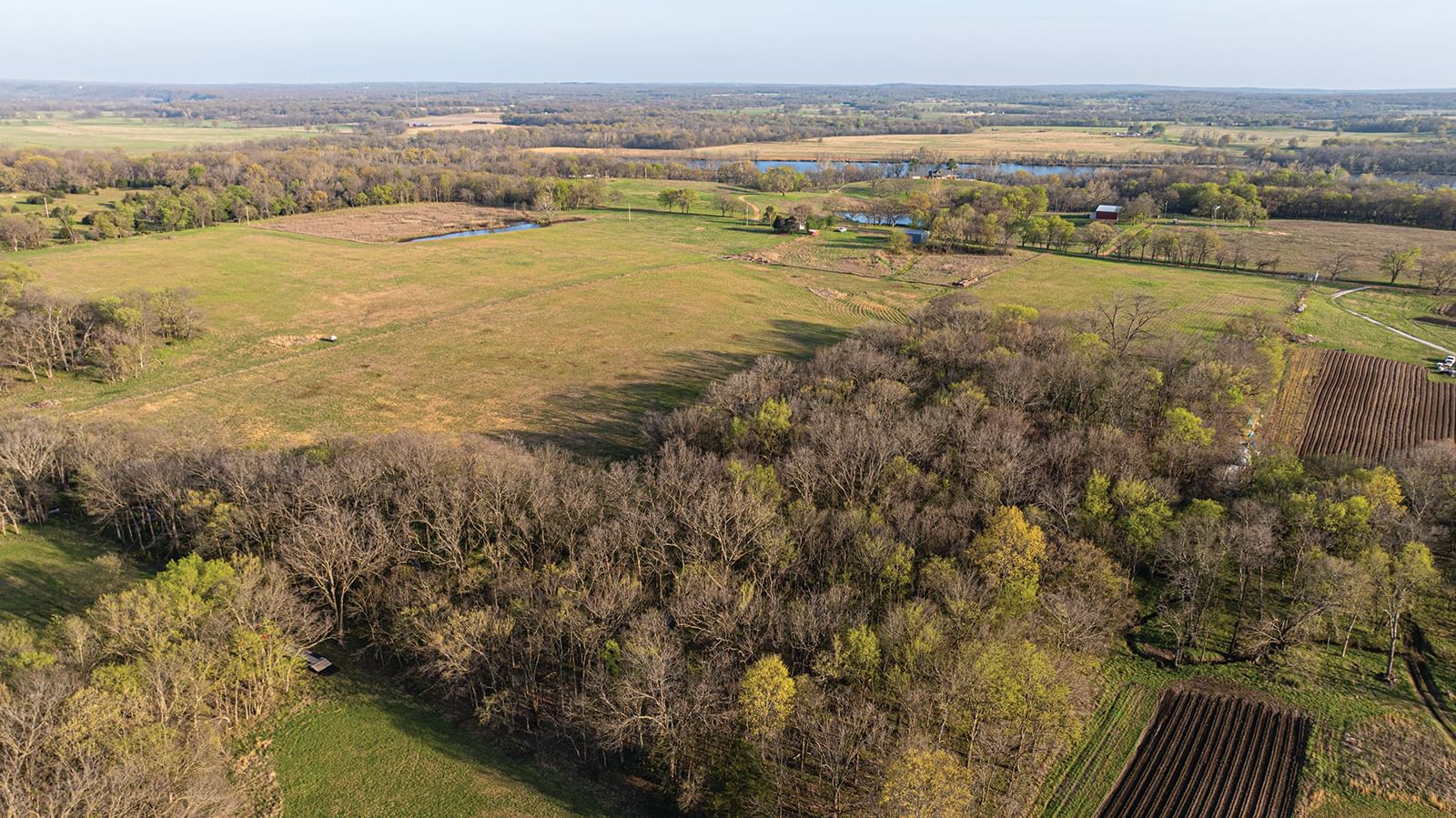 REAL ESTATE AUCTION - REAL ESTATE AUCTION - 137+/-ACRES