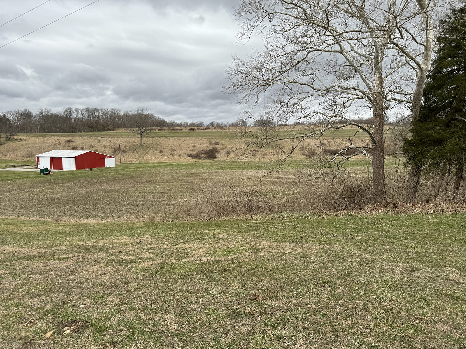 REAL ESTATE AUCTION - REAL ESTATE AUCTION - 39+/- ACRES OFFERED IN